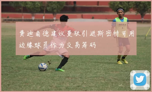 费迪南德建议曼联引进斯密特可用边缘球员作为交易筹码