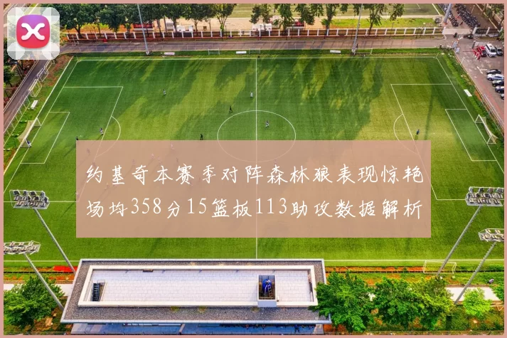 约基奇本赛季对阵森林狼表现惊艳场均358分15篮板113助攻数据解析