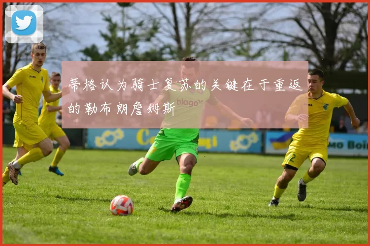 蒂格认为骑士复苏的关键在于重返的勒布朗詹姆斯