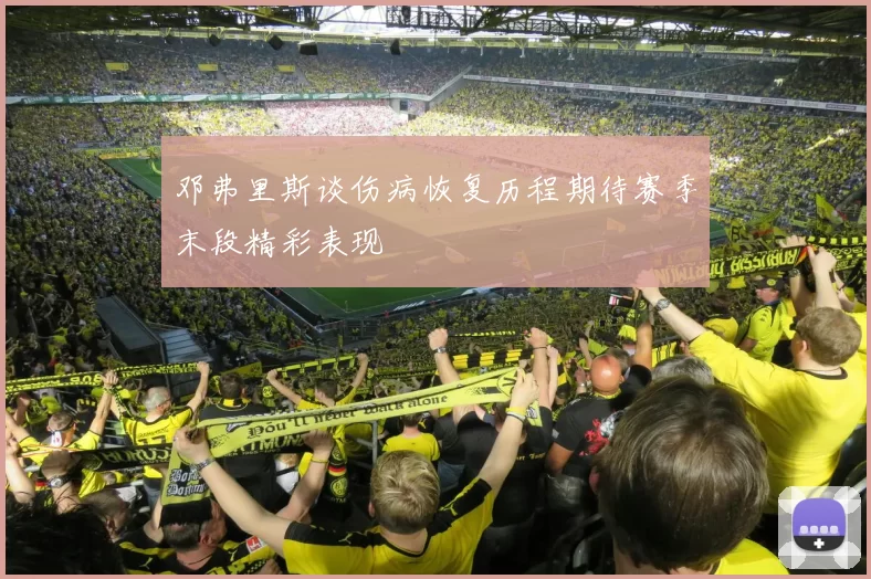 邓弗里斯谈伤病恢复历程期待赛季末段精彩表现